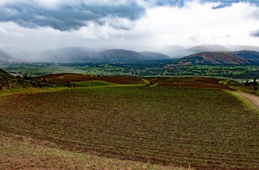2019_12_12_Peru_CIP_CWR_CT-217