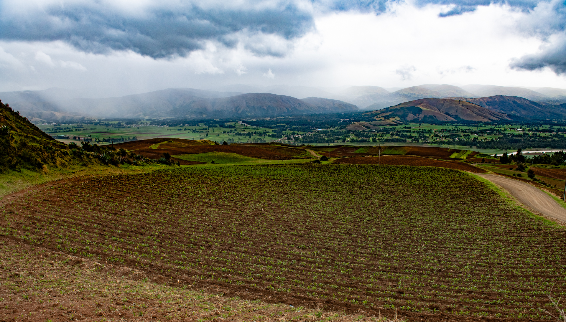 2019_12_12_Peru_CIP_CWR_CT-217