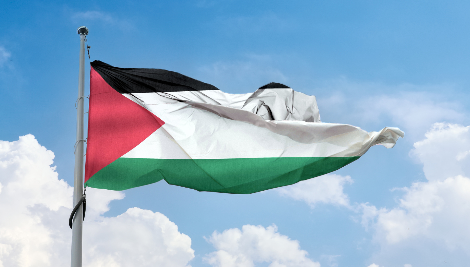bandiera palestinese