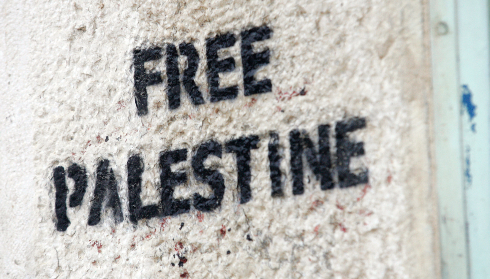 freee palestine 2023.12sulatesta